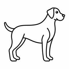 vector illustration of a dog