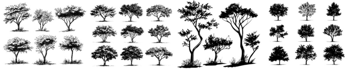 A collection of hand-drawn trees for architectural purposes, along with a sketch of an architectural landscape illustration