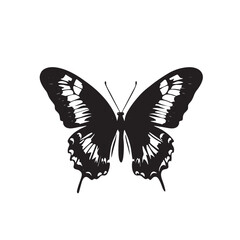 A beautiful yellow and black swallowtail butterfly with colorful wings is isolated on a white background, perfect for showcasing the insect's natural beauty