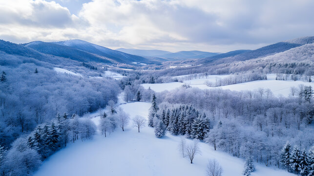 Snowy winter mountain landscape with frosty trees and blue sky