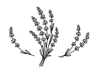 Lavender floral bouquet hand drawn flowers