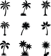 Fototapeta premium Collection of nine black silhouette palm trees