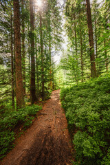 Pilsko Ski Resort, located on the border of Slovakia and Poland, offering scenic tourist trail on Pilsko Mountain in the Beskids, Poland