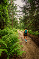 Fototapeta premium Pilsko Ski Resort, located on the border of Slovakia and Poland, offering scenic tourist trail on Pilsko Mountain in the Beskids, Poland