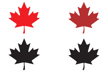 canada maple leaves