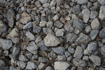 Many rocks with branches form wild composition