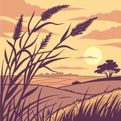 wheat field at sunset