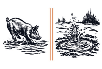 Playful Pig Splashing in Water with Water Ripples and Grass
