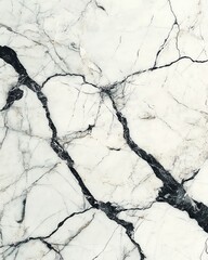 Fototapeta premium Elegant white marble with striking black veining.
