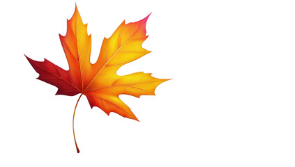 A single autumn maple leaf, vibrant orange and red hues, detailed veins, against a black background