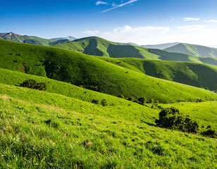 Obraz premium Green Rolling Hills Blue Sky Summer Scenery