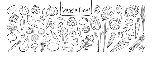 Isolated hand Drawn Vegetable Clipart Set on a transparent background. Black outline on white plain Illustration Style.