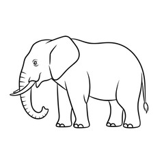 African elephant line drawing for educational resources
