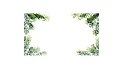 Realistic Green Pine Branches on Dark or Transparent Background with Copy Space - green grass frame