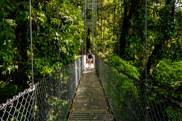 Obraz premium Tourist walking on hanging bridge in tropical rainforest. Costa rica, monteverde cloud forest reserve