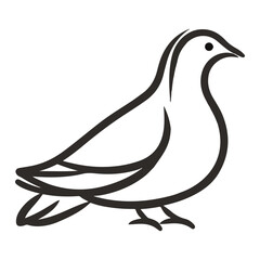 Obraz premium pigeon, animal, vector, transparent background, nature, wildlife, wing, dove, feather, isolated, peace, freedom, beak, symbol, wings, cute
