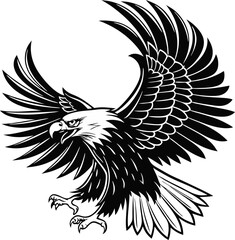 Powerful black and white eagle soaring with wings spread and fierce expression