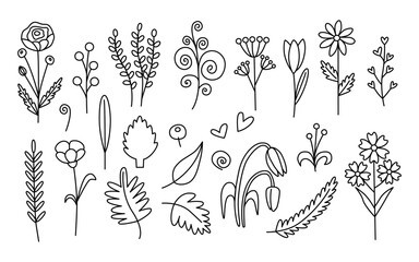Wildflowers set in contour line style. Delicate vector flower arrangements for design or decor. An illustration for creating patterns and postcards.