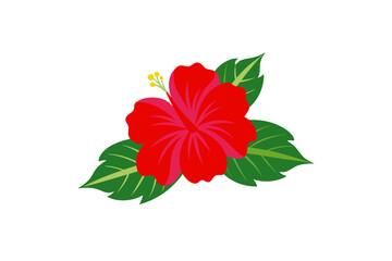 Hibiscus design