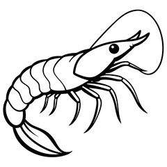 Shrimp Line Art Illustration – Simple Black and White Vector Drawing