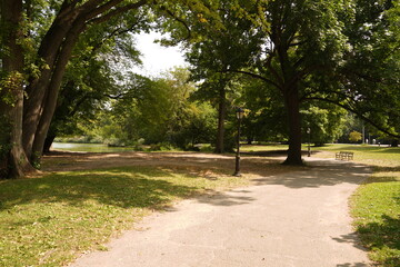 path in the park