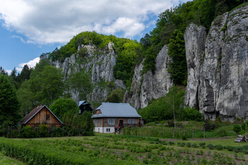 przechadzka po ojcowskim parku narodowym w małopolsce