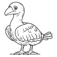 Obraz premium dodo, raphus cucullatus, animal, vector, transparent background, bird, beak, wildlife, feathers, nature, isolated, feather, wild, cute, exotic, colorful