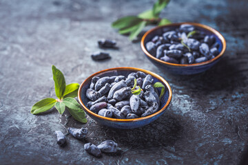 Honeysuckle berries in a bowl on blue background (Lonicera caerulea)