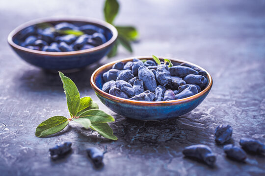 Honeysuckle berries in a bowl on blue background (Lonicera caerulea)
