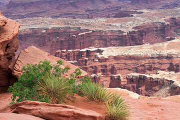 View at Canyonlands National Park, USA