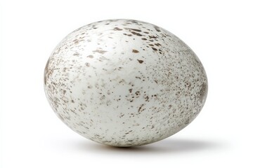 A speckled bird egg sits on a white background, showcasing its unique pattern and texture.