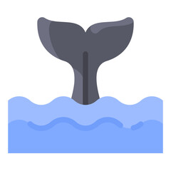 Whale Tail