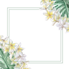 Square frame with plumeria flowers and monstera leaves. Isolated watercolor illustration for restaurant menu design, interior, wedding cards, poster printing.