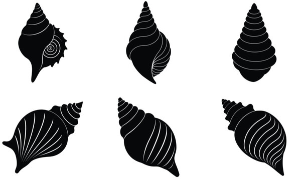 Wentletrap Shell Silhouette Vector Set &ndash; Spiral Sea Shell Collection, Marine Coastal Nature Illustration, Ocean Wildlife Design, and Tropical Beach Decor