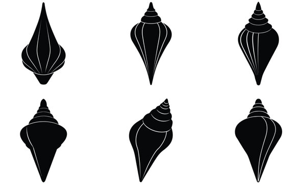Imperial Cone Shells Silhouette Vector Set &ndash; Pointed Sea Shell Illustration, Marine Coastal Wildlife Art, Ocean Nature Design, and Tropical Beach Decor Icons