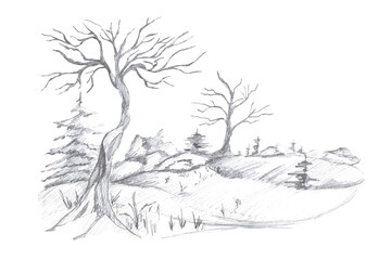 Forest landscape, background. Isolated pencil illustration of forest for coloring book design, greeting cards, Halloween theme parties, fabric printing, interior design.