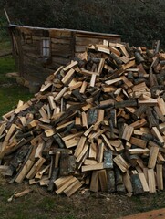 Monoton de leña con caseta de fondo