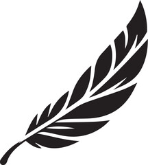 Obraz premium black Bird feather silhouette, vector design