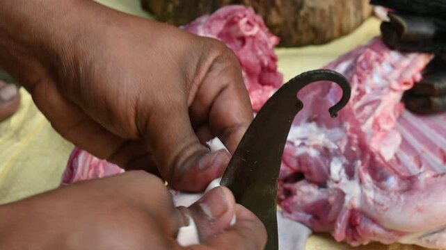 Chopping goat meat. Fresh raw or uncooked goats mutton cutting from Traditional iron tool in Indian village life. chopping goat meat into small pieces.
