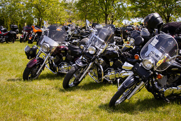 Shiny black motorcycles parked on grass during a sunny biker rally. Chrome details gleam in the...