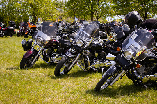 Shiny black motorcycles parked on grass during a sunny biker rally. Chrome details gleam in the sunlight. Trees and other bikes are visible in the background.