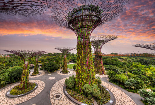 OCBC Skyview tower at Supertree Grove in Singapore's Gardens of the Bay, rated the 8th best attraction in the world.