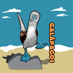 Galapagos card