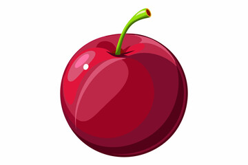 Single red plum fruit illustration
