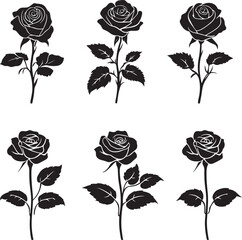A black silhouette Rose flower set, Vector flat design roses silhouette white background