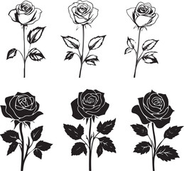 A black silhouette Rose flower set, Vector flat design roses silhouette white background