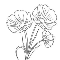 hand drawn flowers