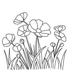 vector illustration of flowers background 