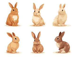 set of rabbit