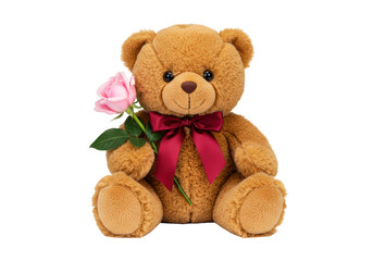 Isolated Teddy Bear Holding Pink Rose with Red Ribbon